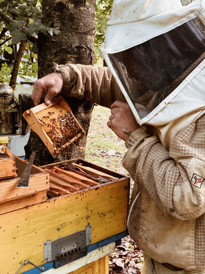 Un giorno in fattoria