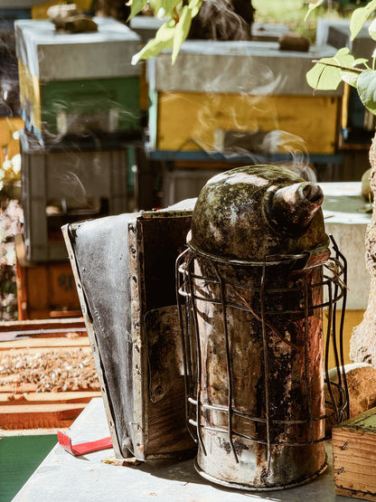 Un giorno in fattoria