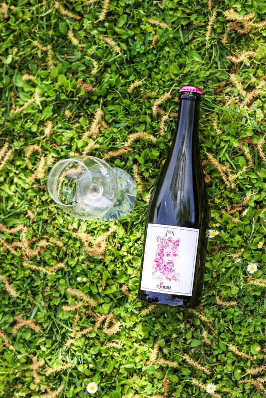 Degustazione vini