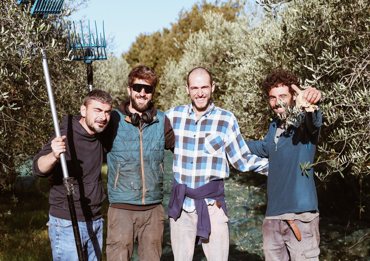 Organic extra virgin olive oil 1