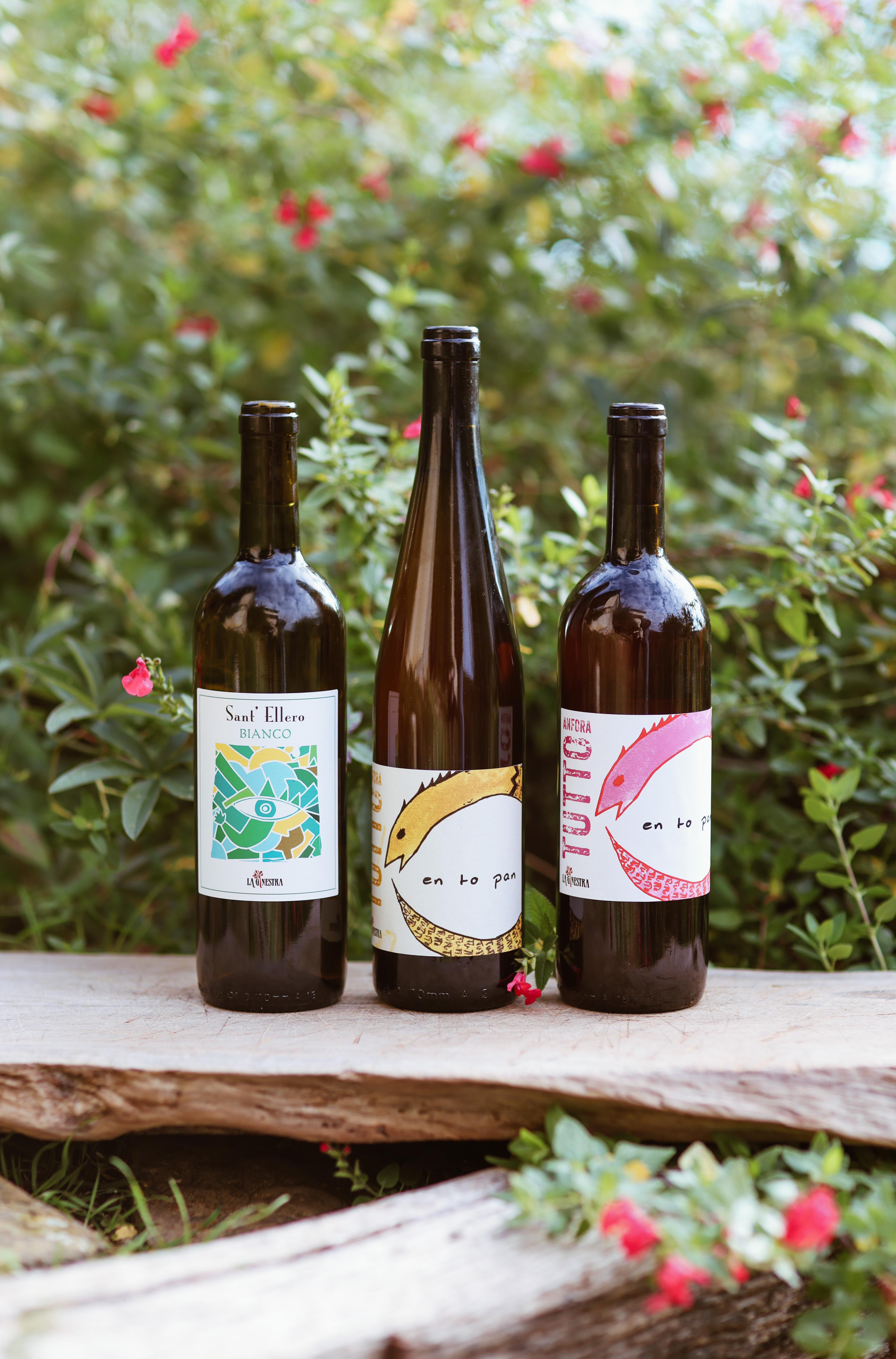 Natural Wines – Bio La Ginestra