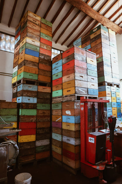 Un giorno da apicoltore