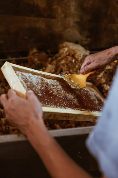 Un giorno da apicoltore