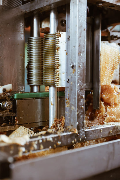 Un giorno da apicoltore