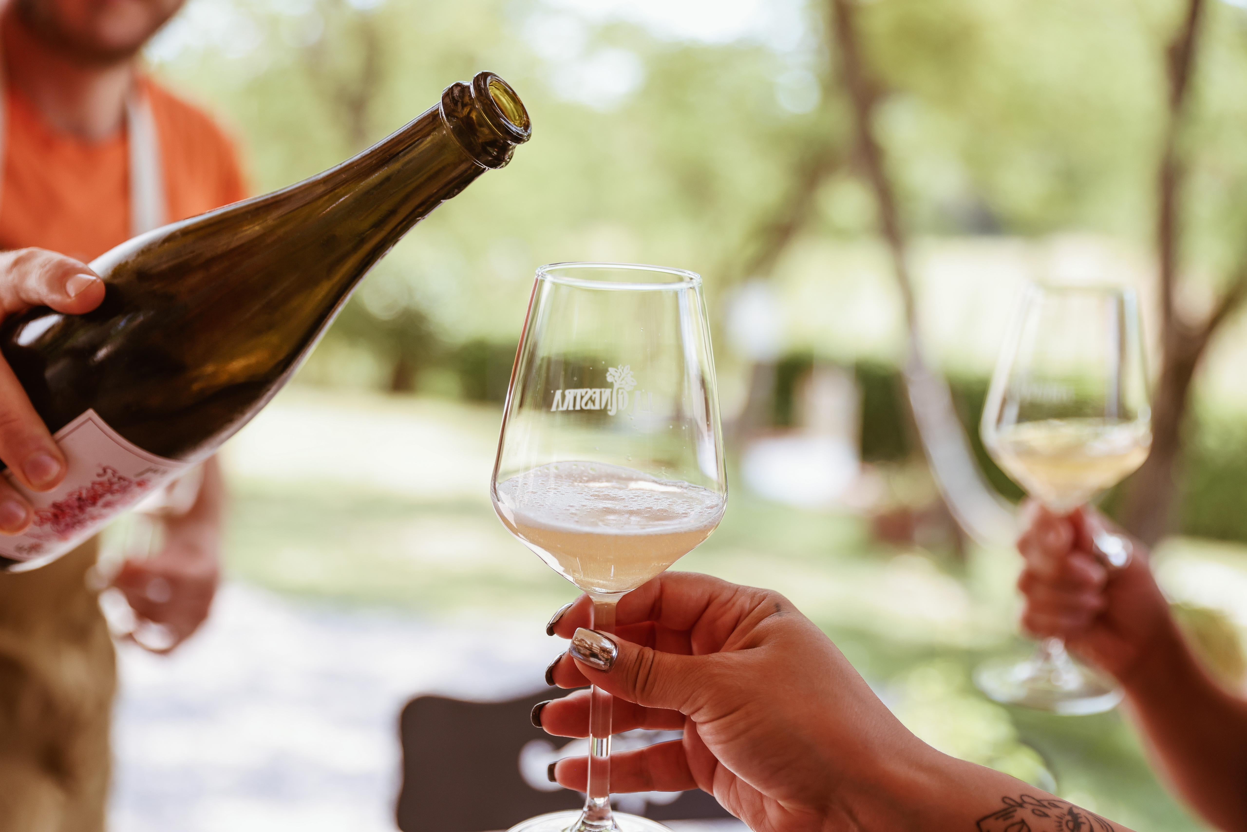 Natural Wines – Bio La Ginestra